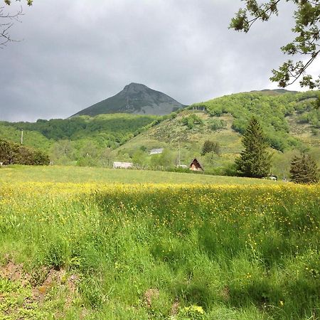 Chalet Avec Vue Panoramique Sur Le Plomb Du Cantal Villa Saint-Jacques-des-Blats Exterior photo