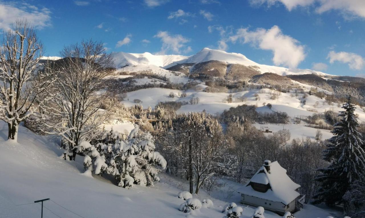 Chalet Avec Vue Panoramique Sur Le Plomb Du Cantal Villa Saint-Jacques-des-Blats Exterior photo