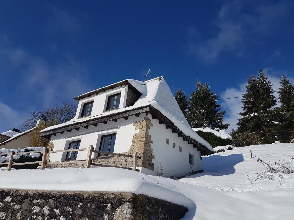 Chalet Avec Vue Panoramique Sur Le Plomb Du Cantal Villa Saint-Jacques-des-Blats Exterior photo