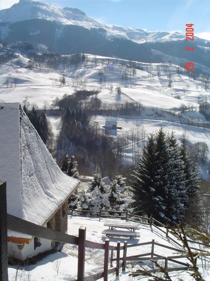 Chalet Avec Vue Panoramique Sur Le Plomb Du Cantal Villa Saint-Jacques-des-Blats Exterior photo