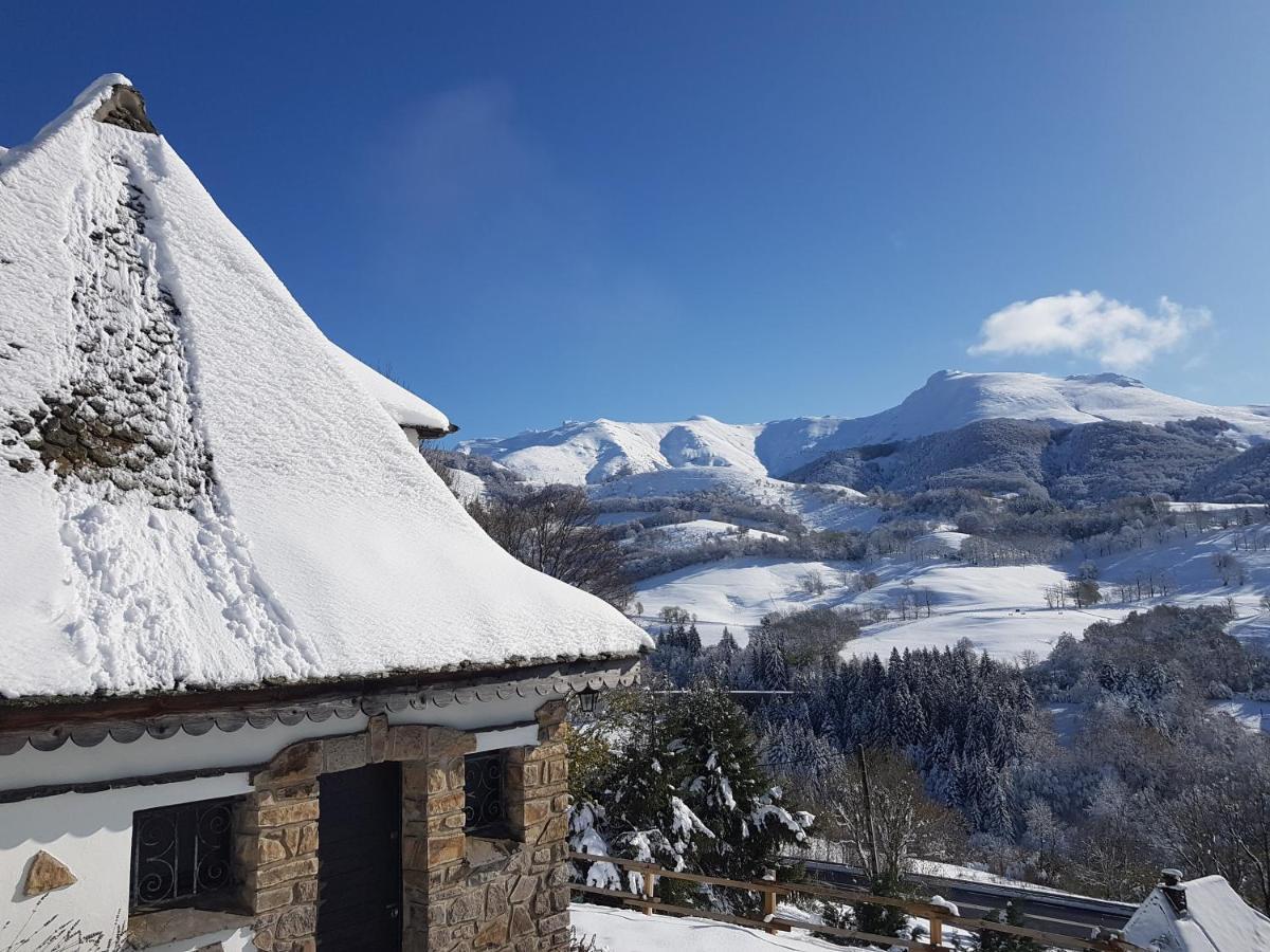 Chalet Avec Vue Panoramique Sur Le Plomb Du Cantal Villa Saint-Jacques-des-Blats Exterior photo